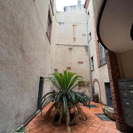 Appartamento Saint-Rome - Capitole - Climatisation - Renove Tolosa Esterno foto